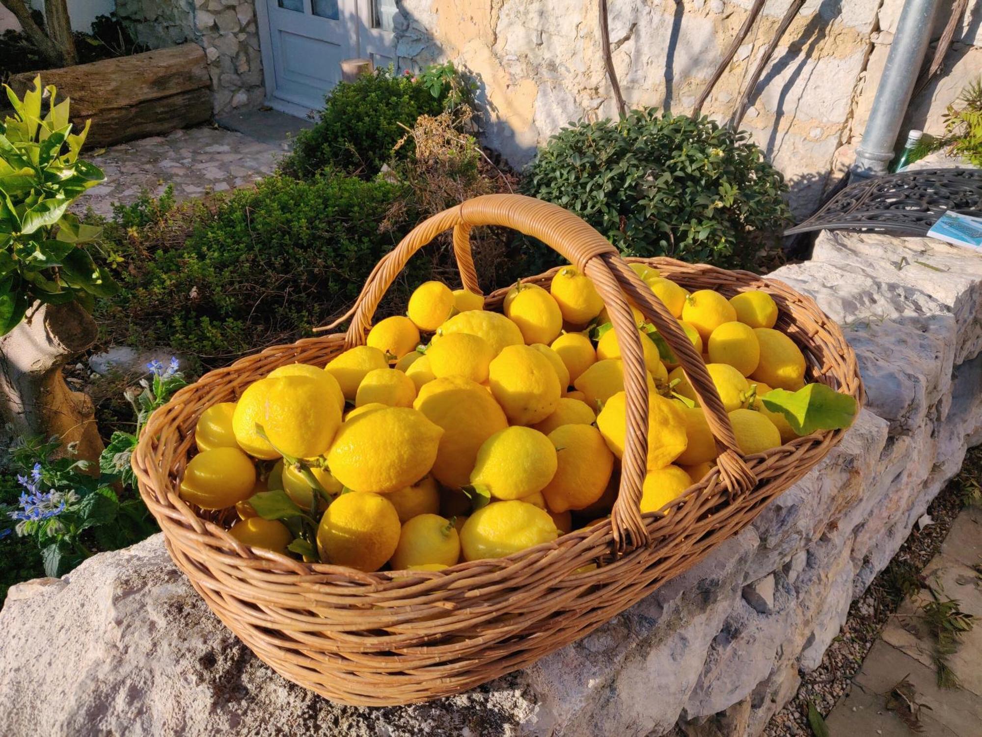 Le Mas Saint Pierre Roquefort Les Pins Dış mekan fotoğraf